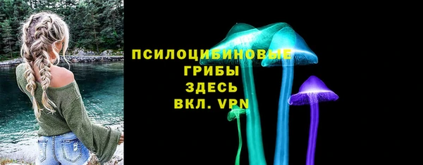 спайс Покачи