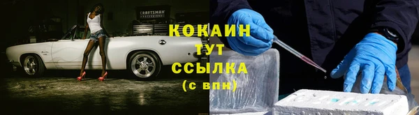 твердый Покровск