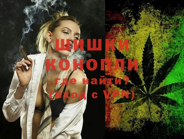 спайс Покачи