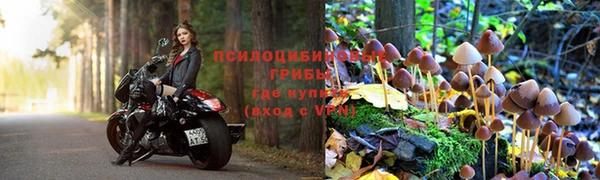 дмт Покров