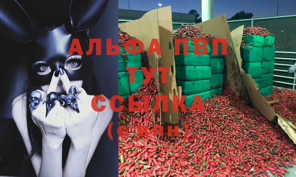спайс Покачи